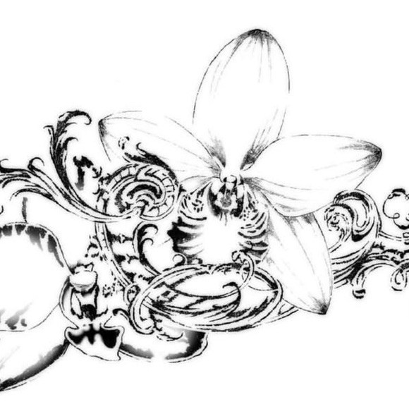 fallen_orchids